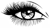 category image