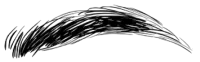category image