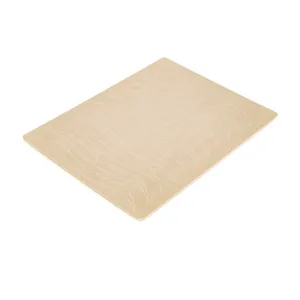 BIOTEK KŮŽE PRO TRÉNOVÁNÍ EYEBROWS